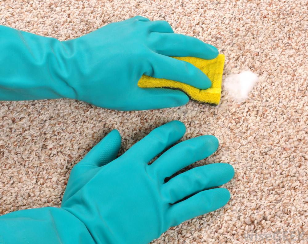 How To Efficiently Get Oil Stains Out Of Carpets St Augustine Carpet Cleaners,Potato Dumplings Italian