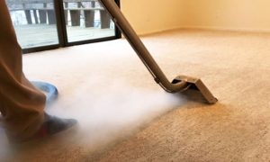 St Augustine Carpet Cleaning
